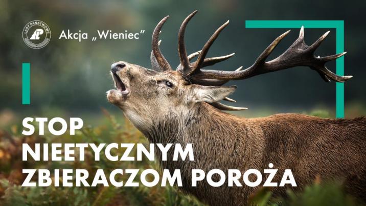 Akcja&#x20;winiec