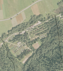 Sprzedaż sadzonek drzew leśnych 2026