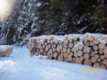 Cennik sprzedaży detalicznej  drewna loco skład - po zrywce na  2026 r.