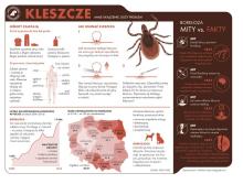 Poradnik bezpiecznego turysty